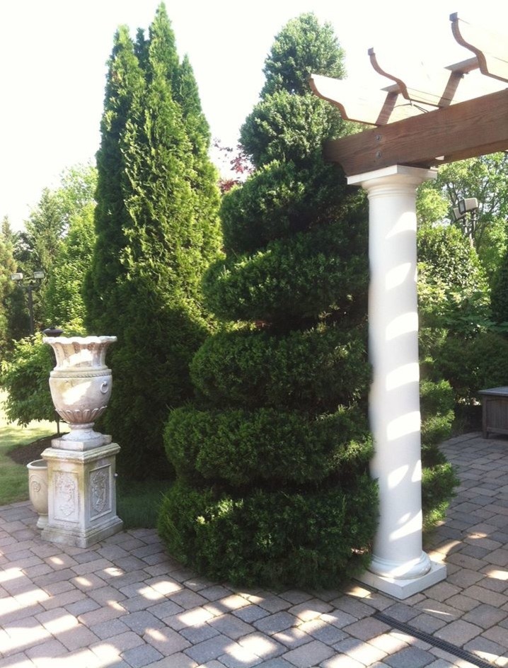Klassischer Garten in Richmond