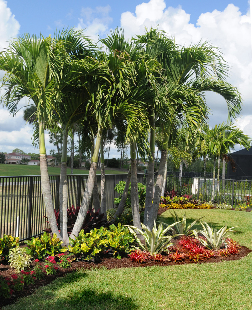 Foto di un grande giardino tropicale esposto in pieno sole dietro casa con pavimentazioni in cemento