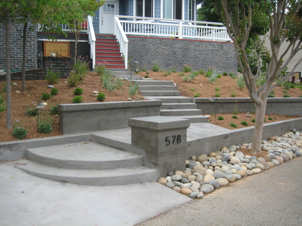 Photo of a mid-sized modern partial sun front yard landscaping in San Francisco for spring.