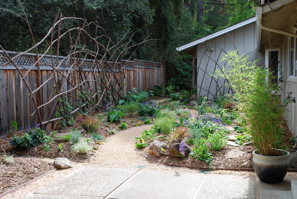 Inspiration for an eclectic vegetable garden landscape in San Francisco.
