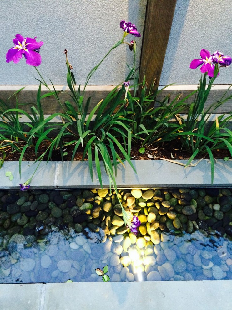 Aménagement d'un petit jardin arrière asiatique avec un point d'eau, une exposition ombragée et des pavés en pierre naturelle.