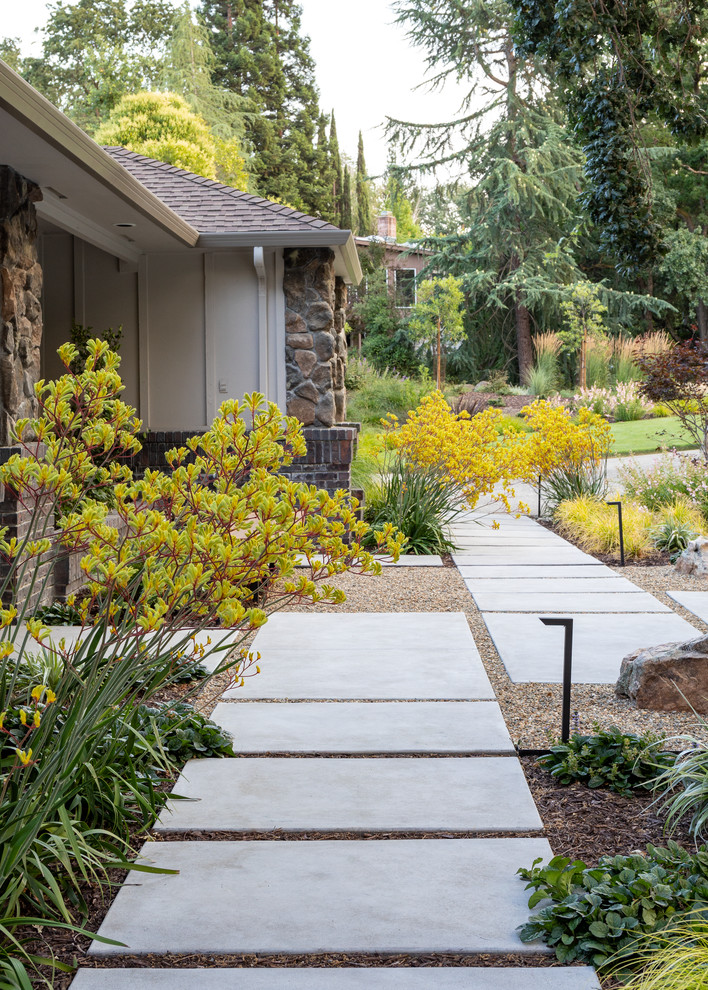 Idee per un grande giardino formale minimalista esposto a mezz'ombra davanti casa in estate con un ingresso o sentiero e pavimentazioni in cemento