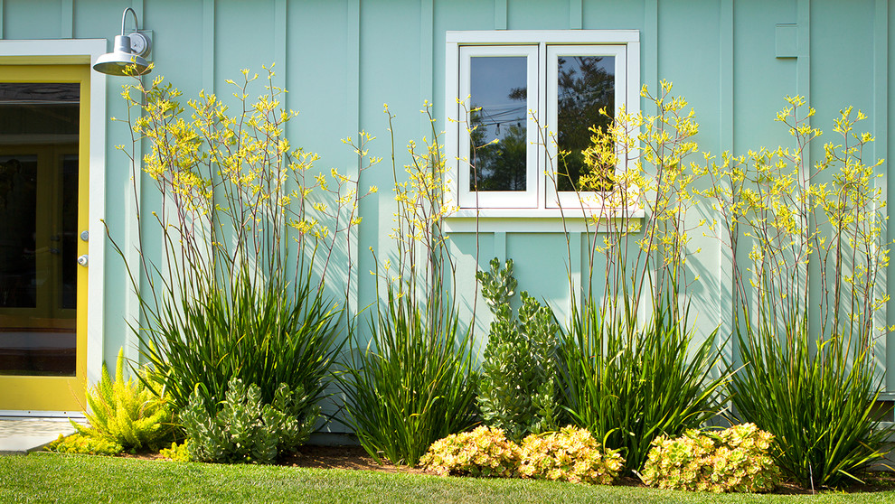 Imagen de jardín de secano moderno en patio trasero con exposición total al sol y parterre de flores