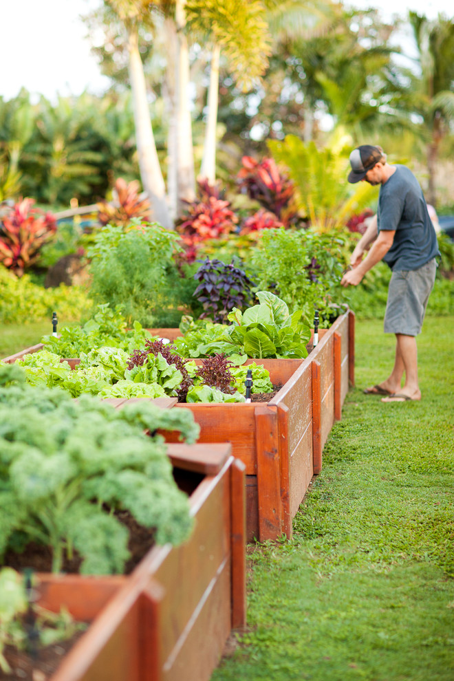 Photo of a world-inspired garden in Hawaii.