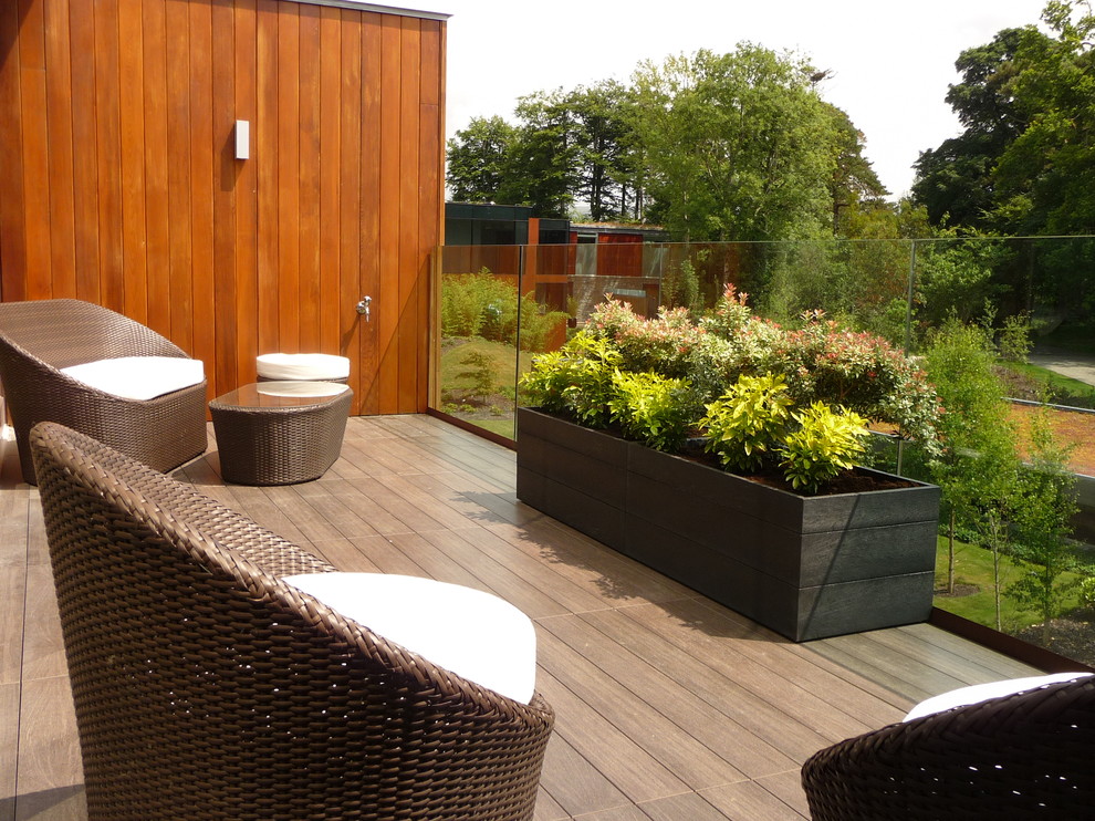 Cette photo montre un grand jardin sur toit tendance avec une exposition ensoleillée et une terrasse en bois.