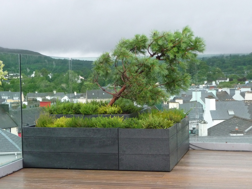 Стильный дизайн: большой солнечный участок и сад на крыше в современном стиле с хорошей освещенностью и настилом - последний тренд