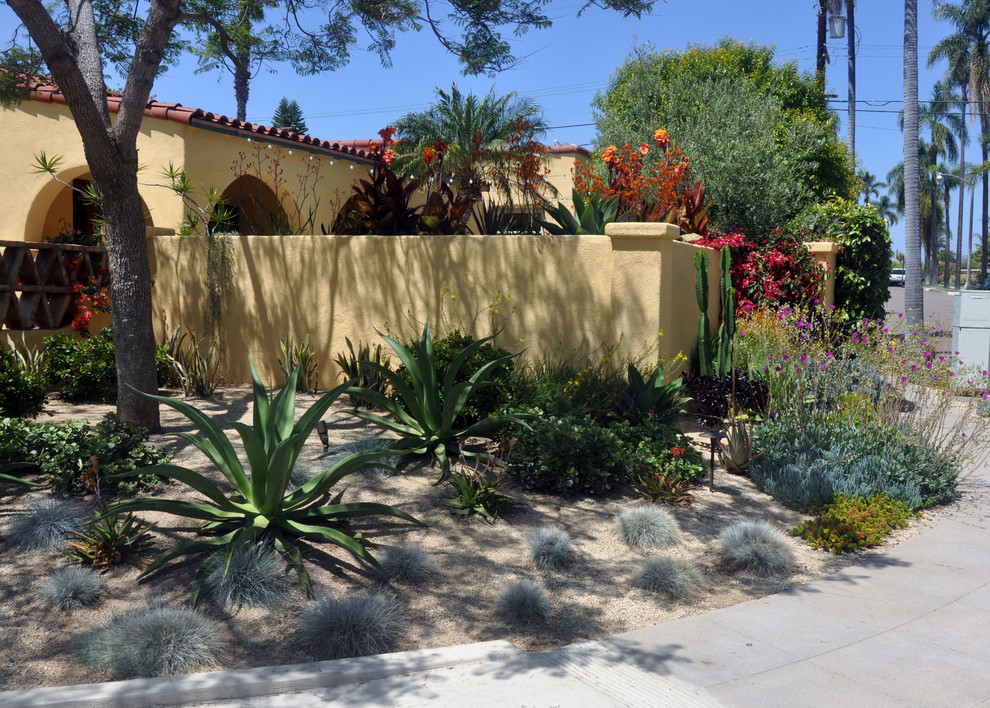 Design ideas for a mediterranean courtyard xeriscape garden in San Diego.