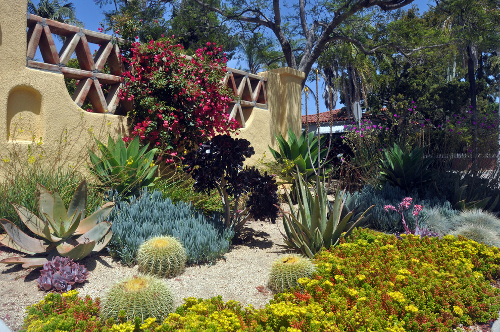 Mediterranean garden in San Diego.