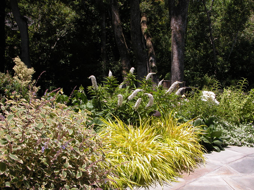 Esempio di un giardino design in ombra di medie dimensioni e dietro casa in estate con pavimentazioni in pietra naturale