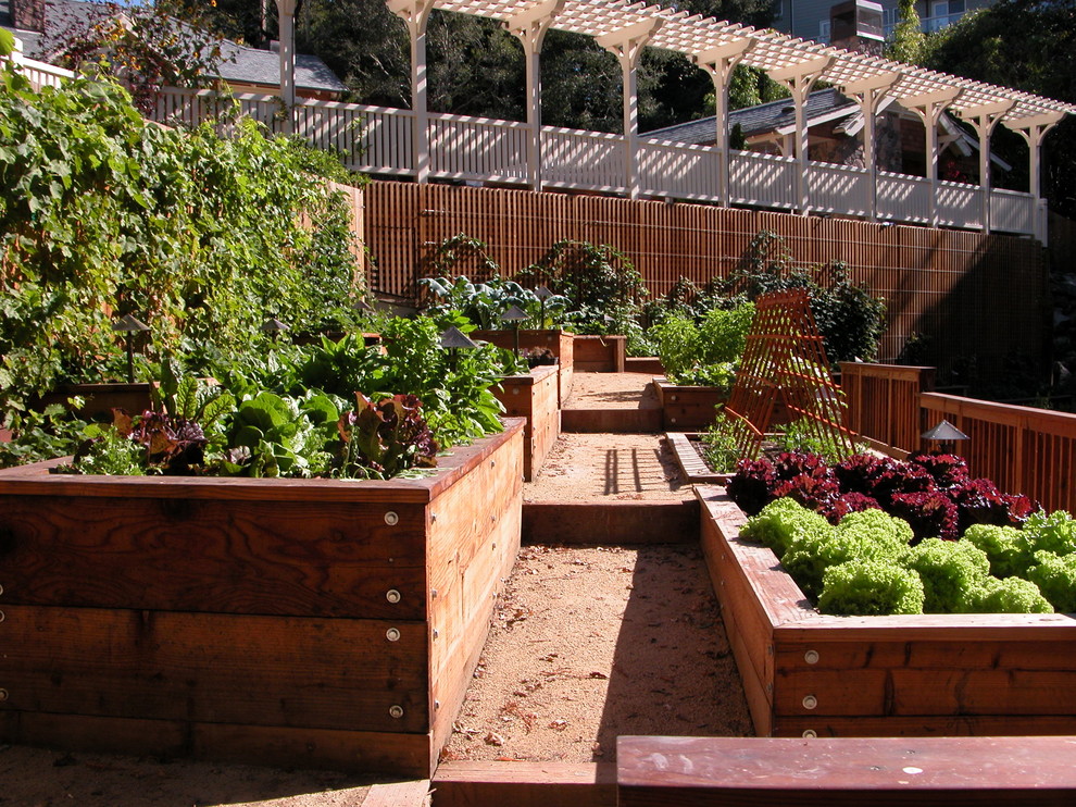 サンフランシスコにある高級な広いトラディショナルスタイルのおしゃれな庭の写真
