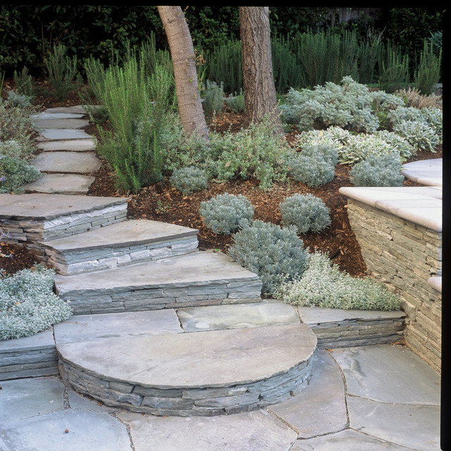 Kentfield Mount Tam View Traditional Garden San Francisco by