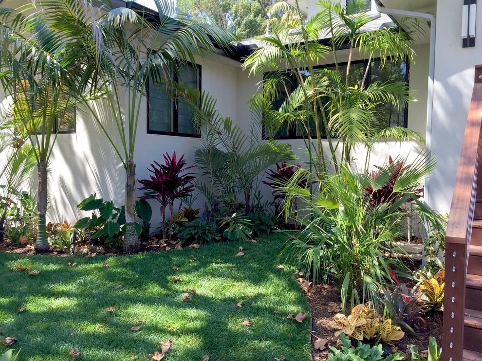 Inspiration for a huge tropical landscaping in Los Angeles.