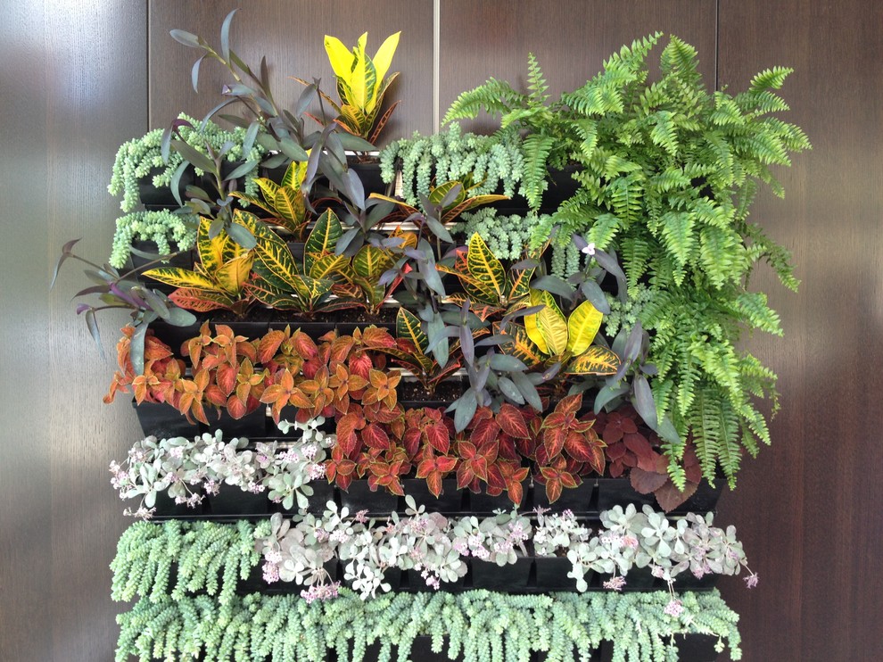 This is an example of a tropical landscaping in Vancouver.