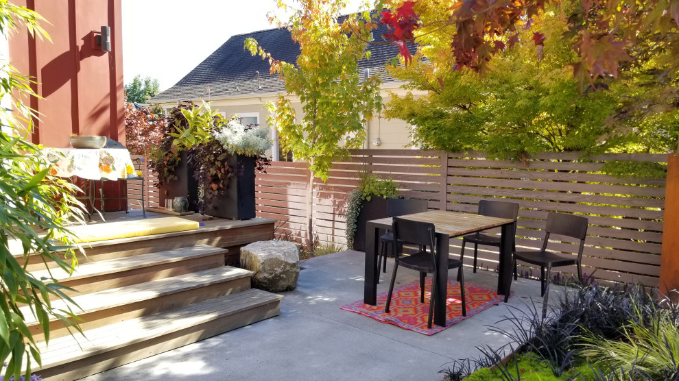 На фото: солнечный, осенний участок и сад на заднем дворе в современном стиле с хорошей освещенностью, мощением тротуарной плиткой и с деревянным забором с