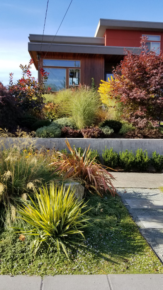 Inspiration for a contemporary drought-tolerant, desert and full sun front yard concrete paver landscaping in Seattle for fall.