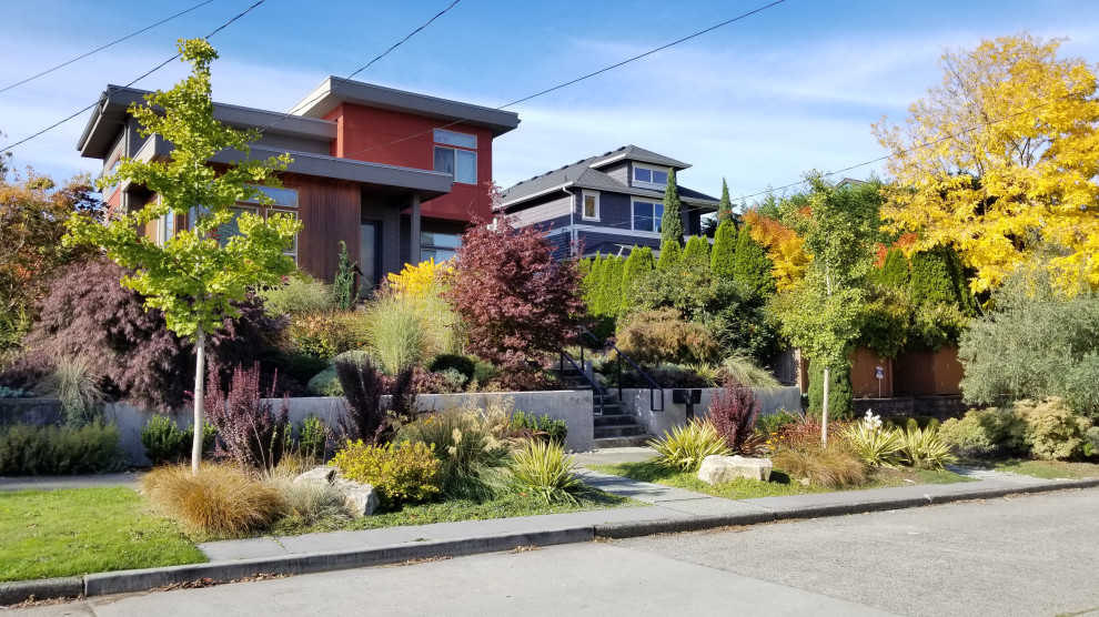 Moderner Vorgarten im Herbst mit Steindeko, direkter Sonneneinstrahlung und Betonboden in Seattle