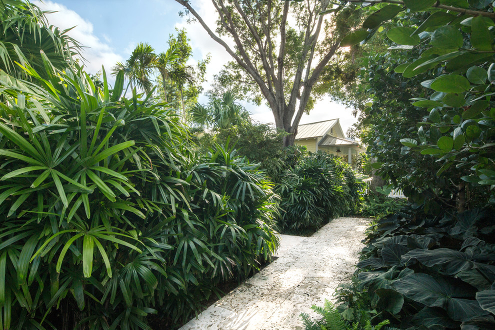 Immagine di un giardino tropicale esposto in pieno sole di medie dimensioni e davanti casa con un ingresso o sentiero e pavimentazioni in pietra naturale