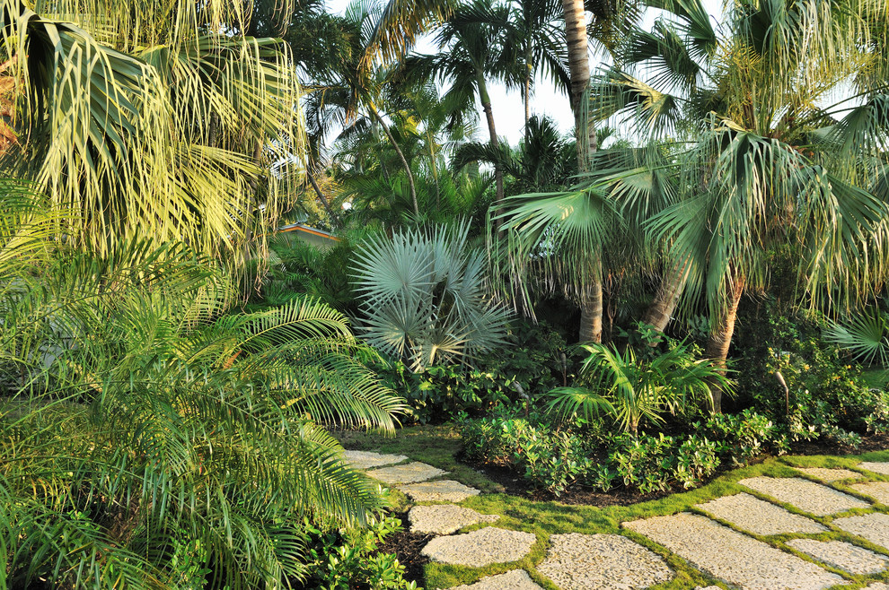 Idee per un giardino tropicale dietro casa con passi giapponesi