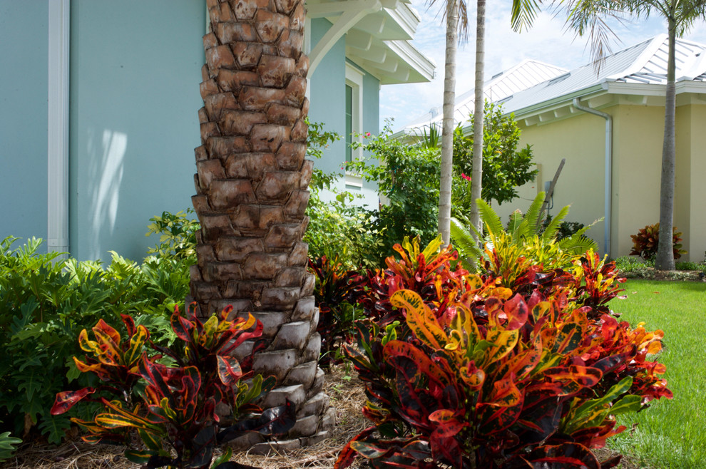 Diseño de jardín tropical de tamaño medio en patio delantero con exposición total al sol