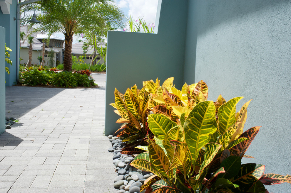 Halbschattiger, Mittelgroßer Vorgarten mit Auffahrt und Betonboden in Miami