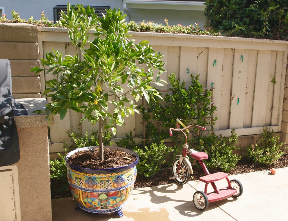 Immagine di un piccolo giardino chic esposto in pieno sole dietro casa