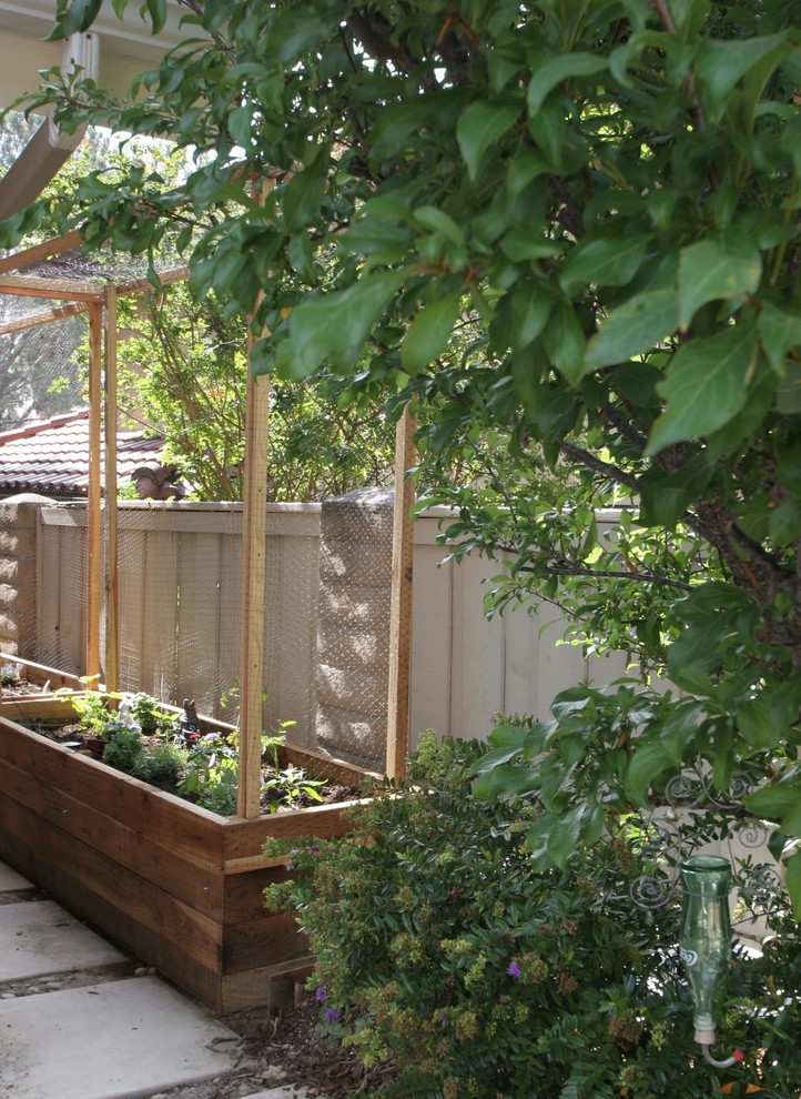 Kleiner Klassischer Garten hinter dem Haus mit direkter Sonneneinstrahlung in San Diego