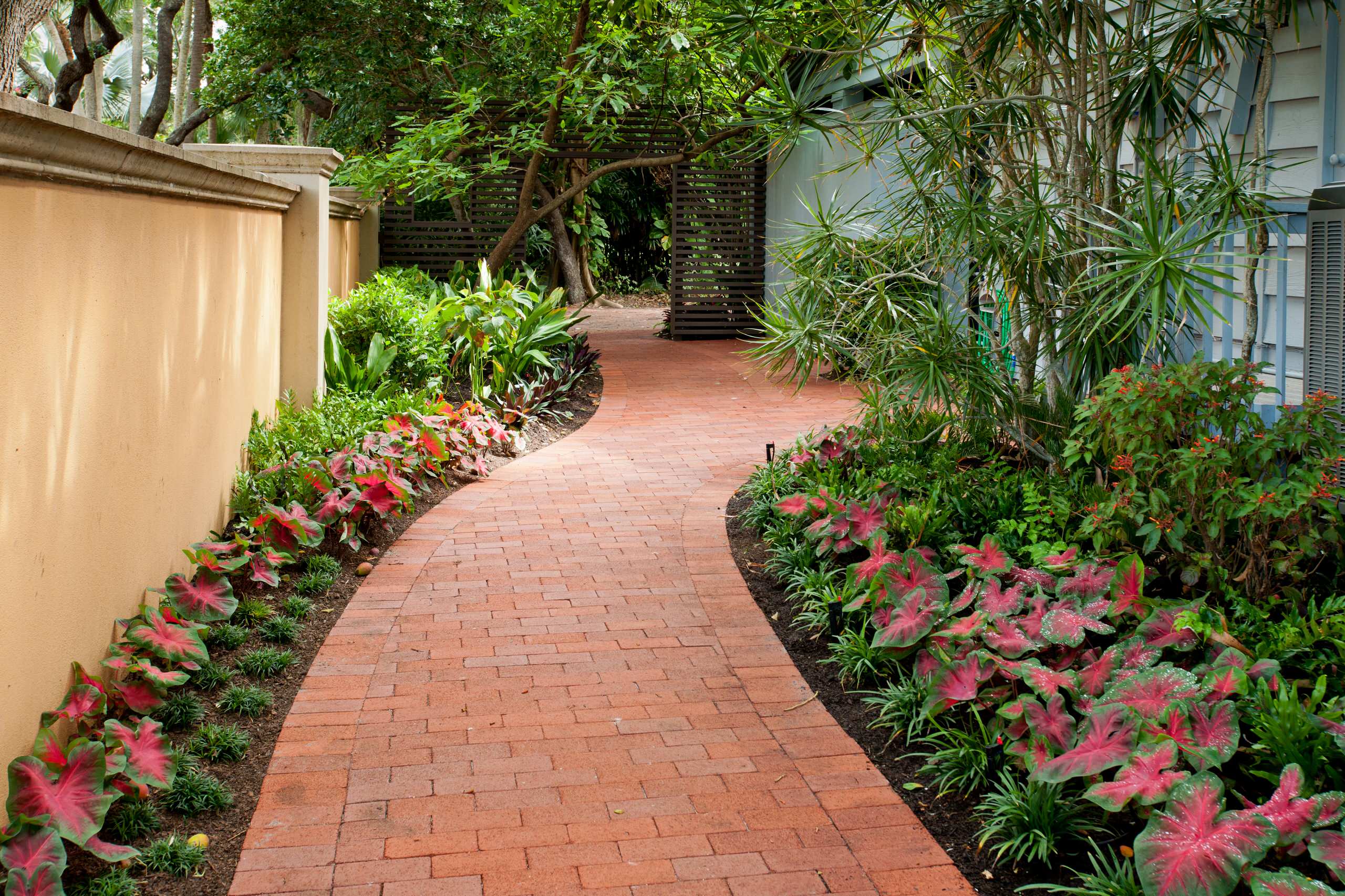 Clean-lined Color - Tropical - Landscape - Miami - by Pamela Crawford &  Associates