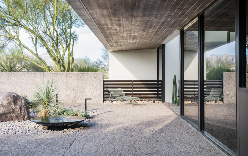 Стильный дизайн: засухоустойчивый сад среднего размера на заднем дворе в стиле модернизм с пустынными растениями, полуденной тенью и мощением тротуарной плиткой - последний тренд