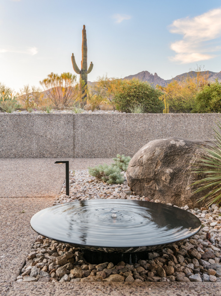 Photo of a medium sized modern back xeriscape full sun garden in Other with a desert look and concrete paving.