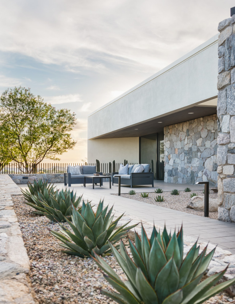 Стильный дизайн: солнечный засухоустойчивый сад среднего размера на заднем дворе в стиле модернизм с пустынными растениями, хорошей освещенностью и мощением тротуарной плиткой - последний тренд