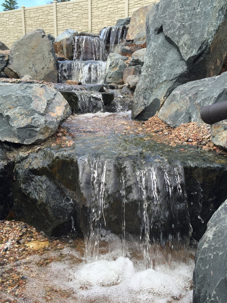 Exemple d'un très grand xéropaysage arrière tendance l'été avec un bassin, une exposition ensoleillée et des pavés en pierre naturelle.