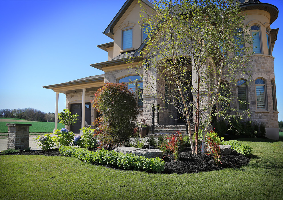 Immagine di un giardino minimal esposto in pieno sole di medie dimensioni e davanti casa con un ingresso o sentiero e pavimentazioni in pietra naturale