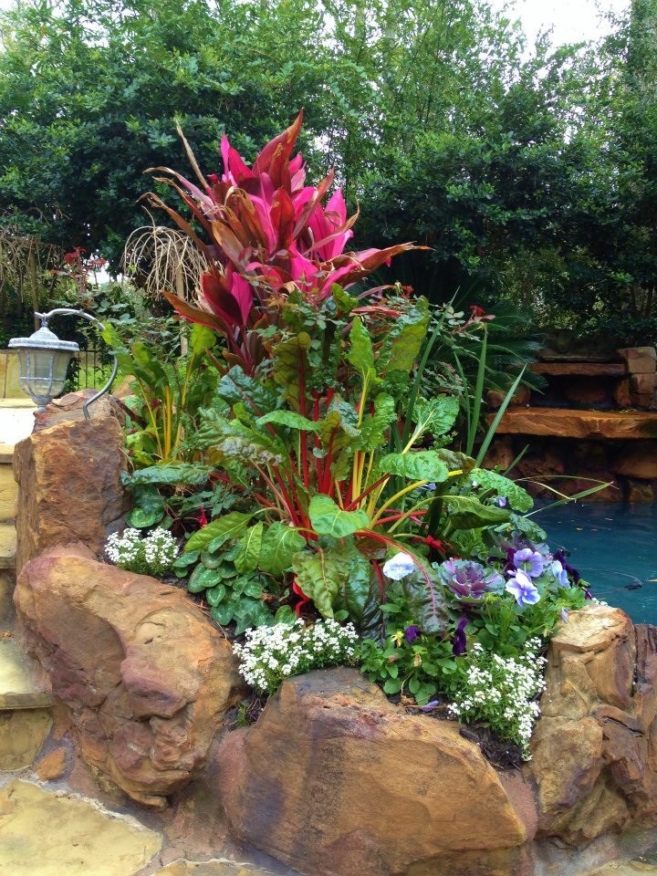 This is an example of a world-inspired garden in Houston.