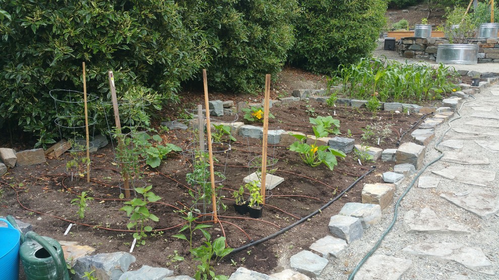 Geometrischer, Mittelgroßer, Halbschattiger Landhausstil Gemüsegarten im Sommer, hinter dem Haus mit Natursteinplatten in Seattle