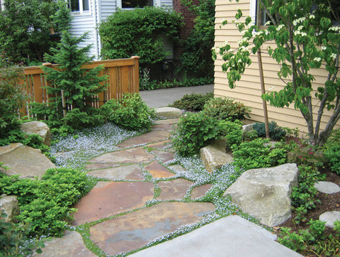 Mittelgroßer Klassischer Gartenweg hinter dem Haus mit Auffahrt, direkter Sonneneinstrahlung und Natursteinplatten in Seattle