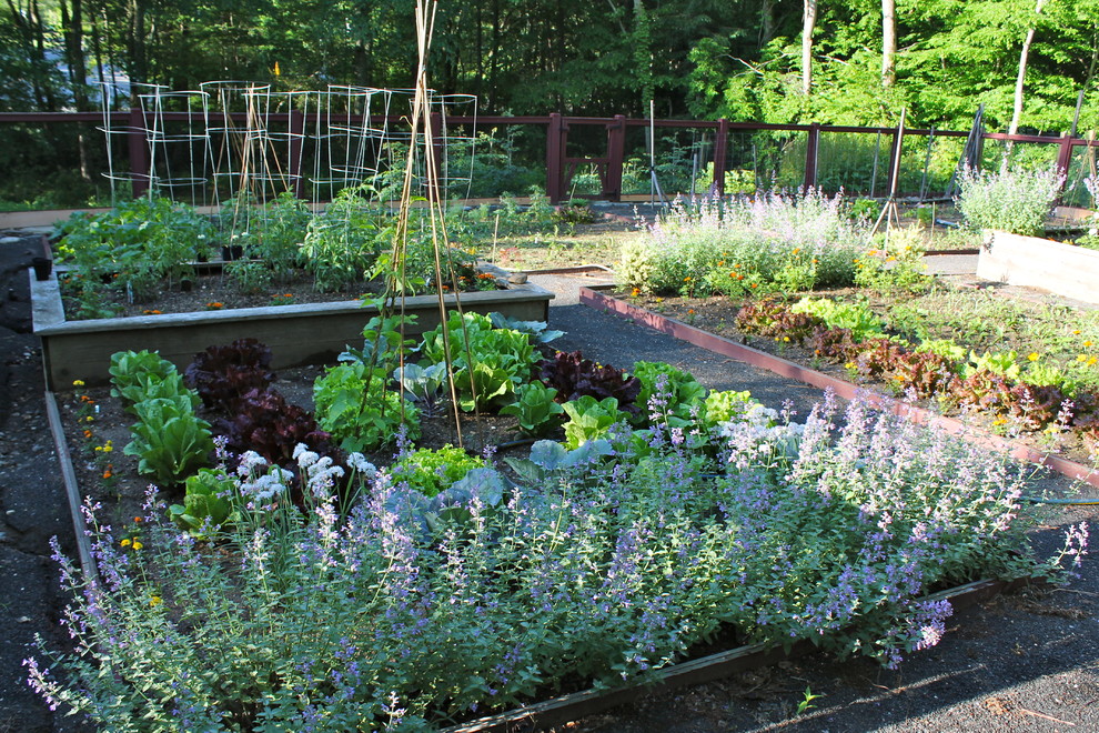 Foto di un orto in giardino classico esposto in pieno sole dietro casa e di medie dimensioni in estate
