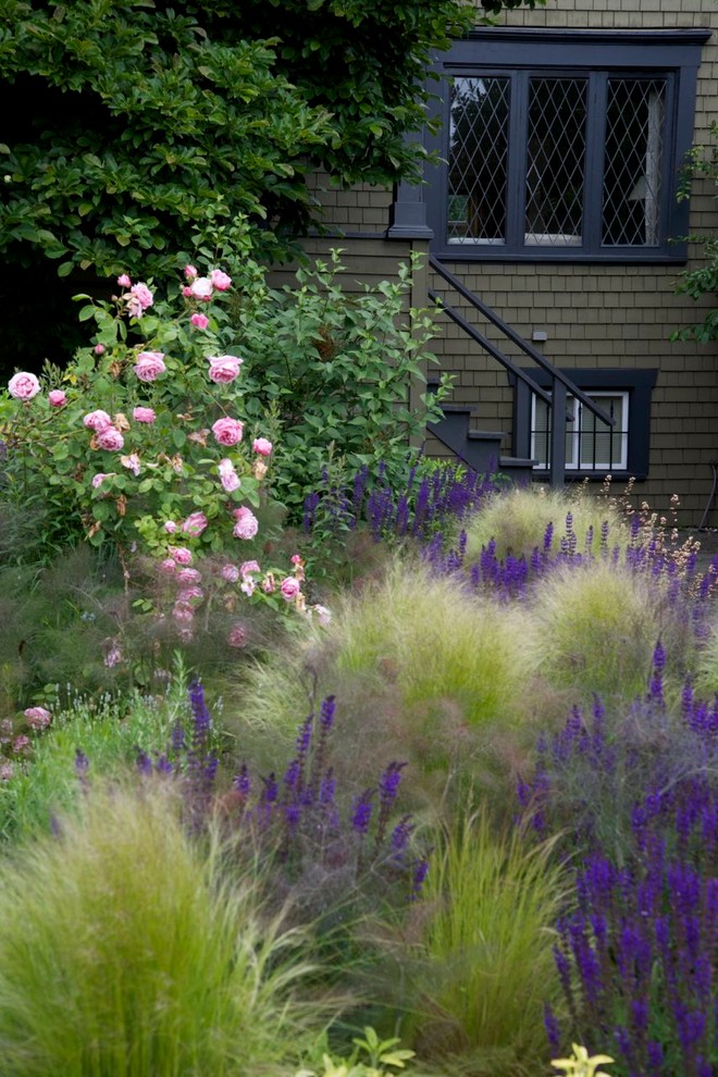 На фото: солнечный участок и сад на переднем дворе в современном стиле с хорошей освещенностью с