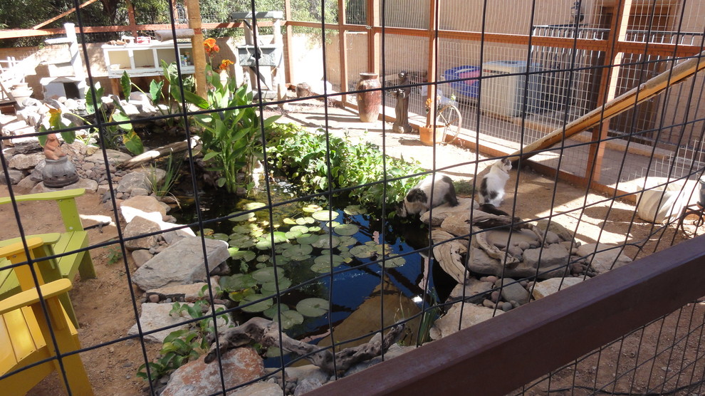 Photo of an eclectic landscaping in Phoenix.