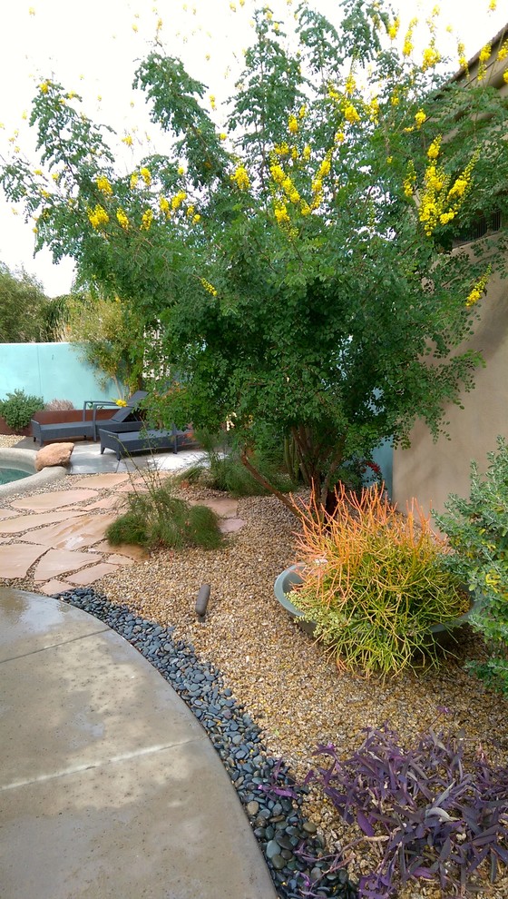 フェニックスにあるサンタフェスタイルのおしゃれな庭の写真