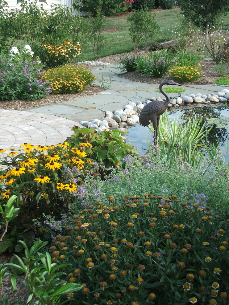 Inspiration pour un petit jardin arrière traditionnel avec un point d'eau, une exposition ensoleillée et des pavés en béton.