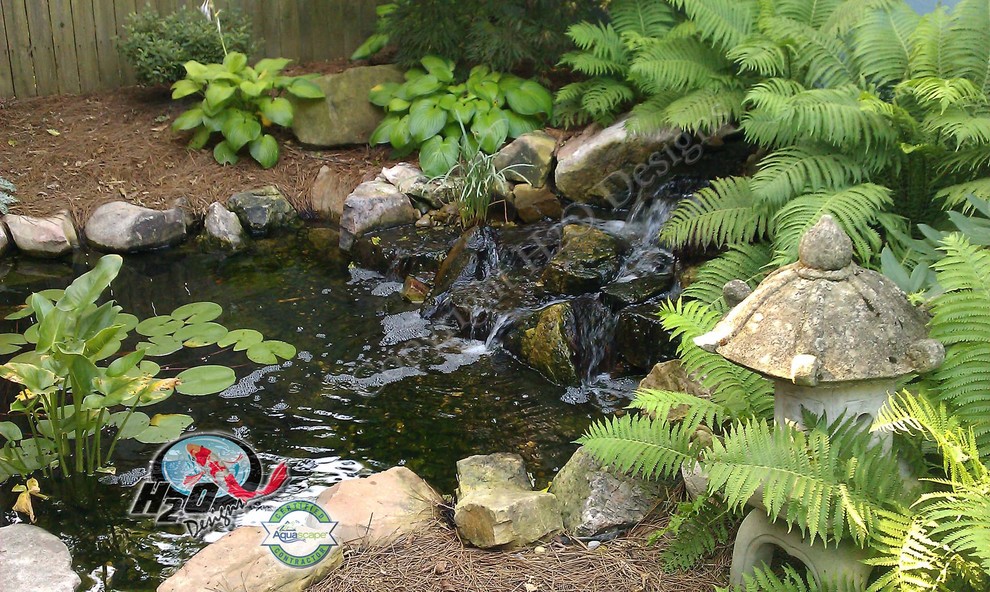 Immagine di un grande laghetto da giardino tradizionale esposto in pieno sole dietro casa con pacciame