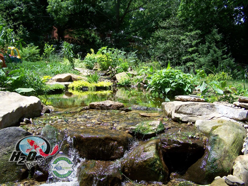This is an example of a large traditional full sun backyard pond in Louisville.