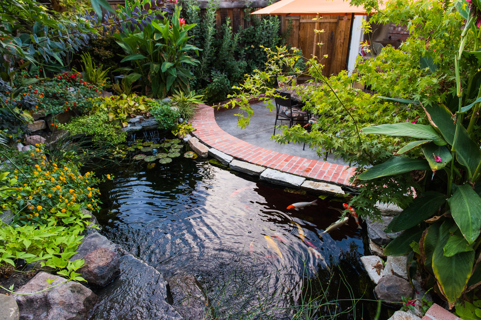 This is an example of a bohemian garden in San Francisco.