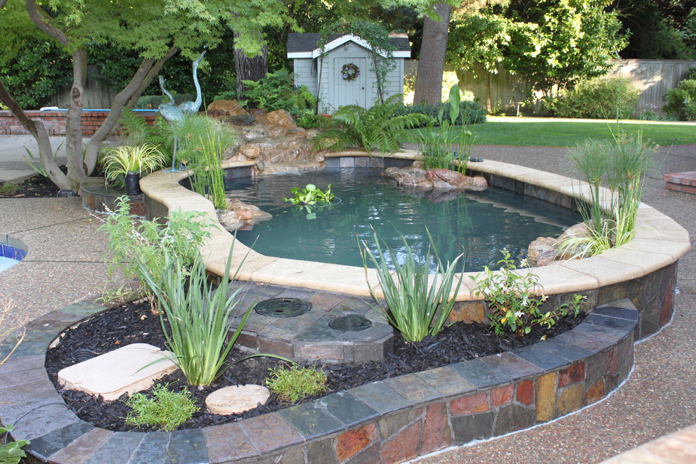 Свежая идея для дизайна: большой сад с прудом на заднем дворе в восточном стиле - отличное фото интерьера