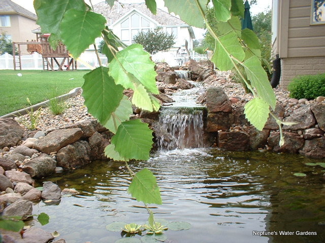 Ejemplo de jardín rústico grande con fuente