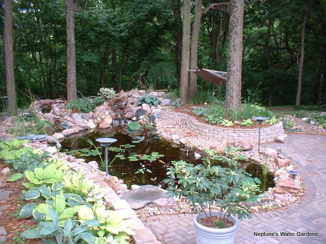 Diseño de jardín rural grande con fuente
