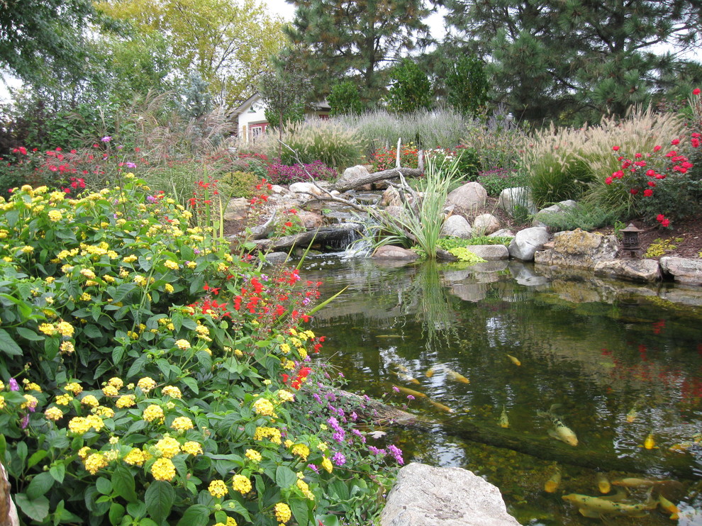 Exemple d'un grand jardin montagne avec un point d'eau.