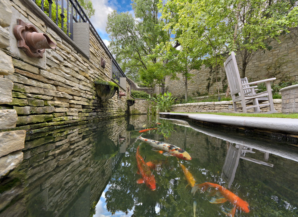 Photo of a traditional raised pond in Dallas.