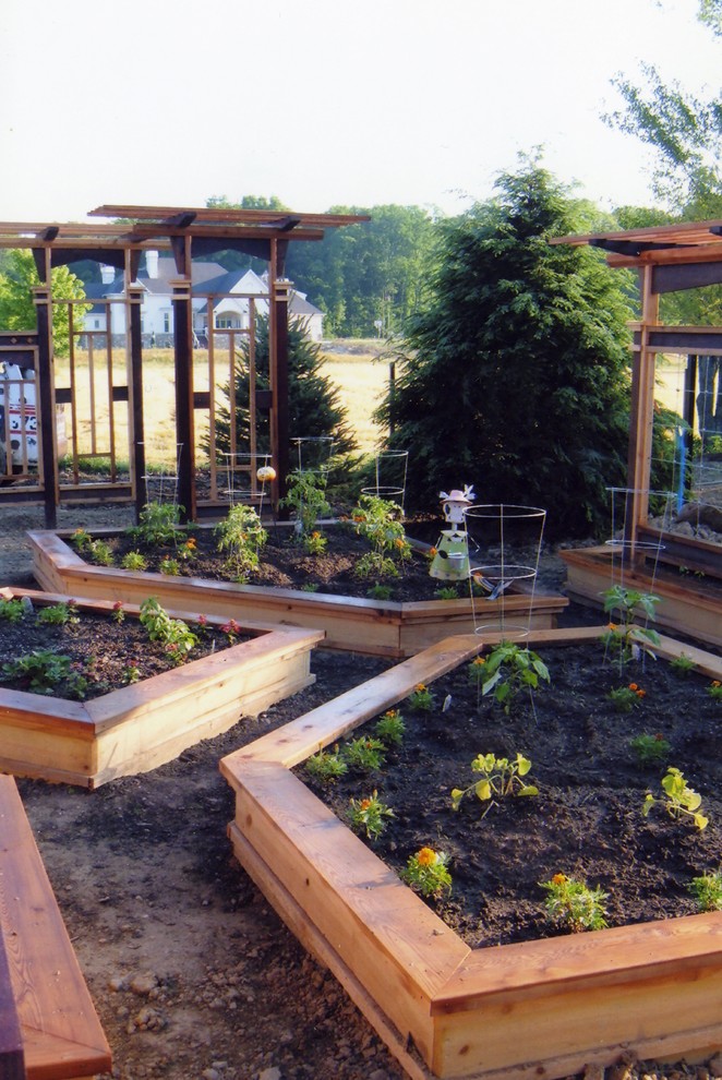 Cette photo montre un jardin potager arrière craftsman l'été avec une exposition ensoleillée.