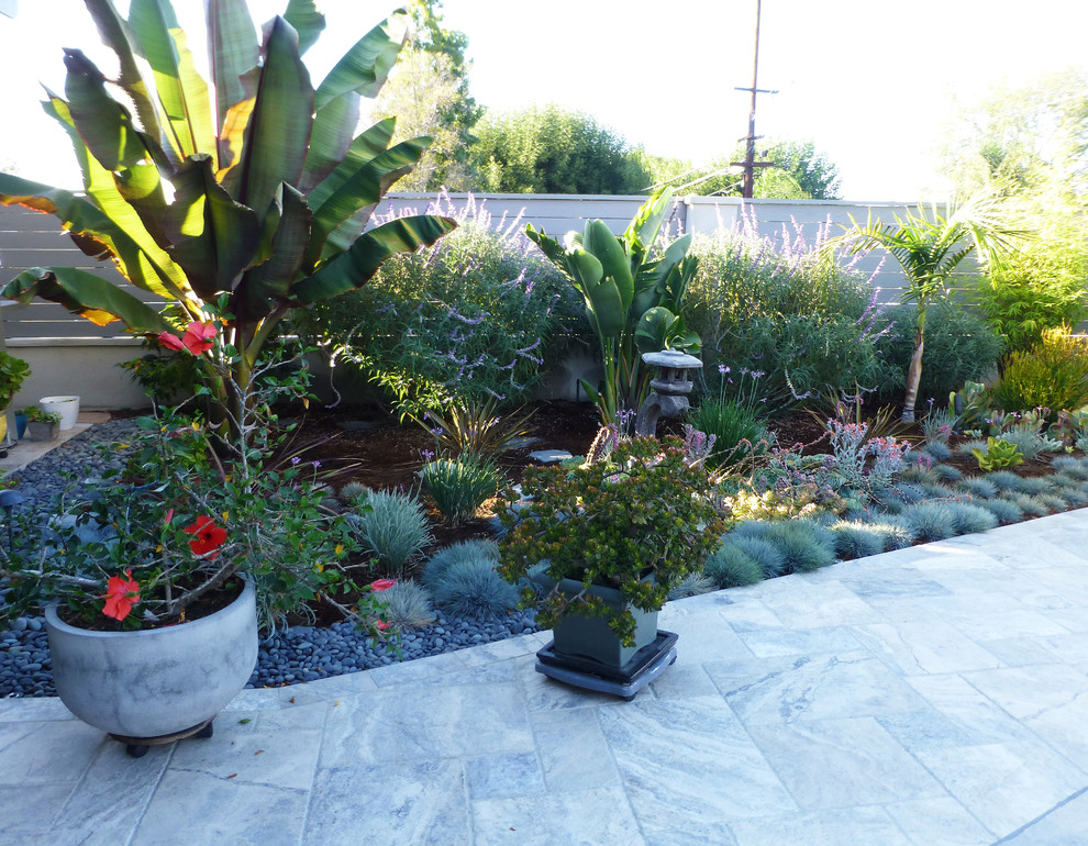 Идея дизайна: засухоустойчивый сад на заднем дворе в современном стиле с полуденной тенью и покрытием из каменной брусчатки